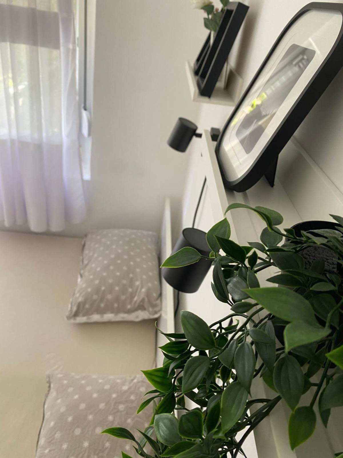 Urban Oasis Apartment Sajmiste Kültér fotó